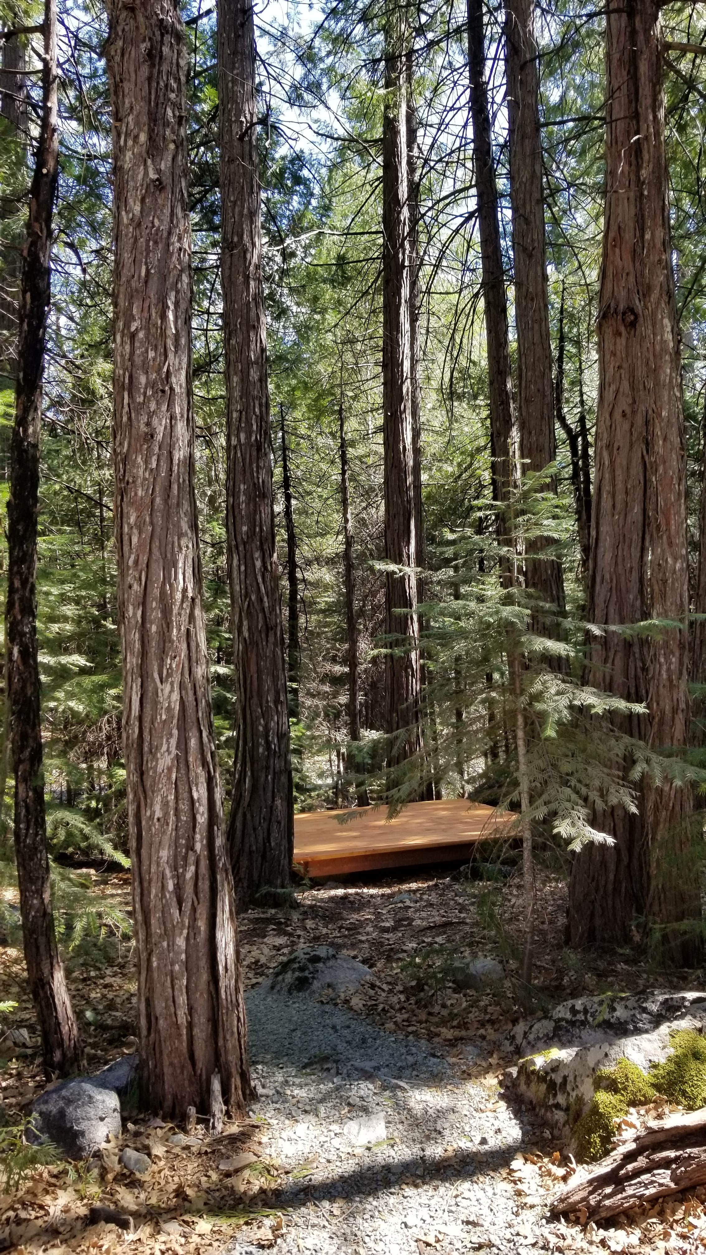 Camper-submitted photo at Bright Bear Camp in Tahoe NF near Washington, CA