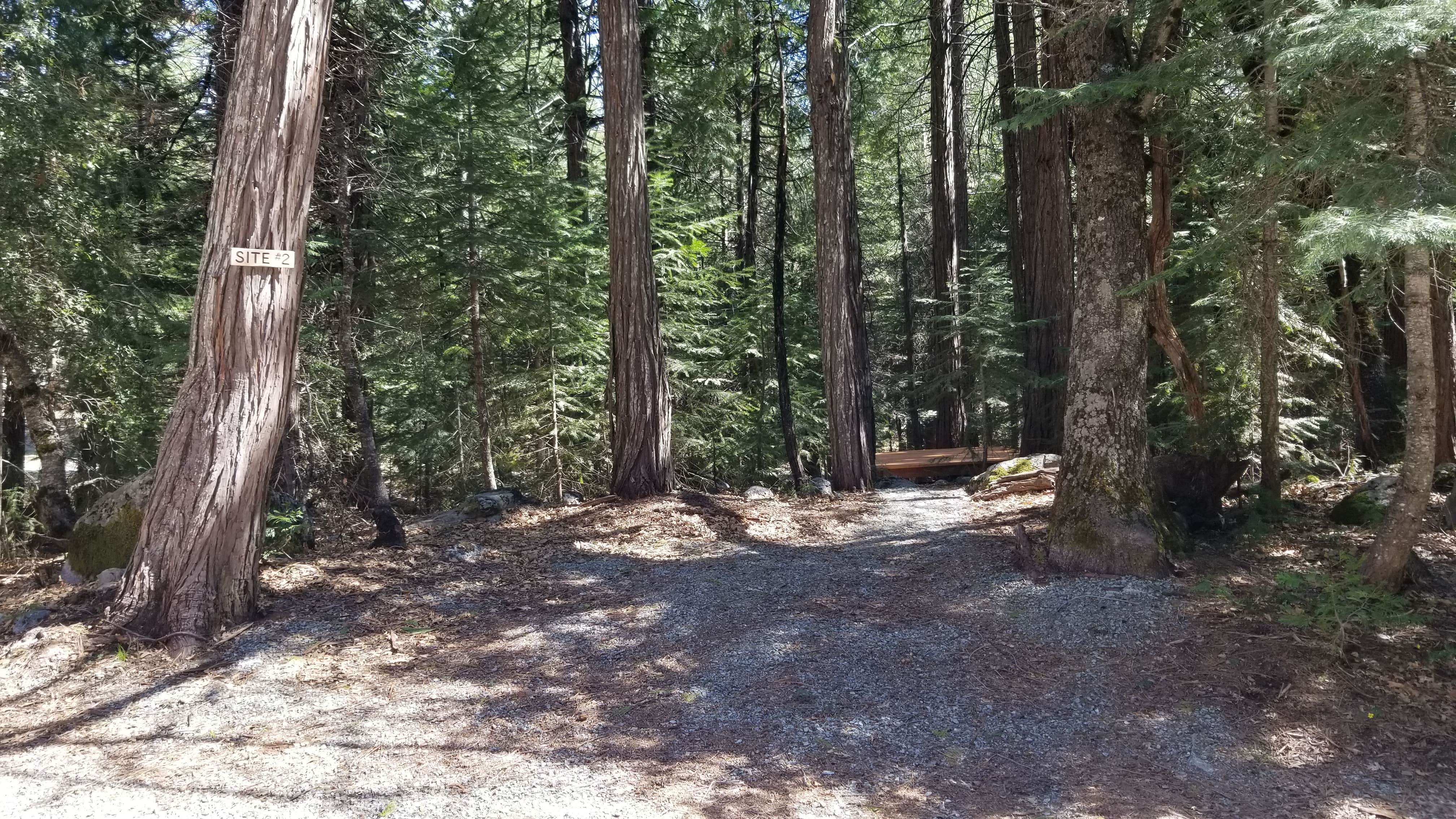 Camper-submitted photo at Bright Bear Camp in Tahoe NF near Washington, CA