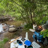 Review photo of Green Heart Farm Creek & Woods by Carol C., May 15, 2025