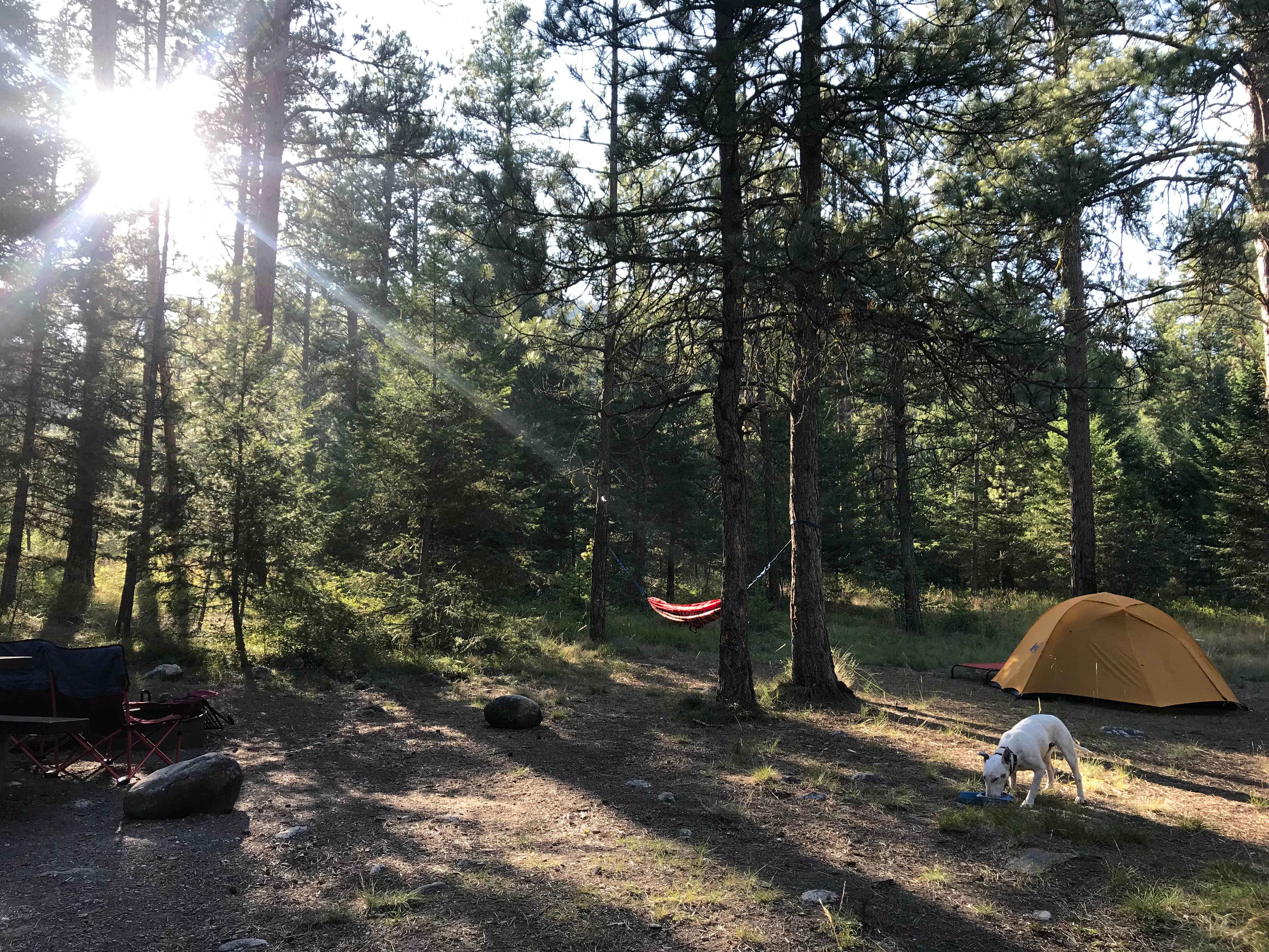 Camper submitted image from Charles Waters Campground - 4
