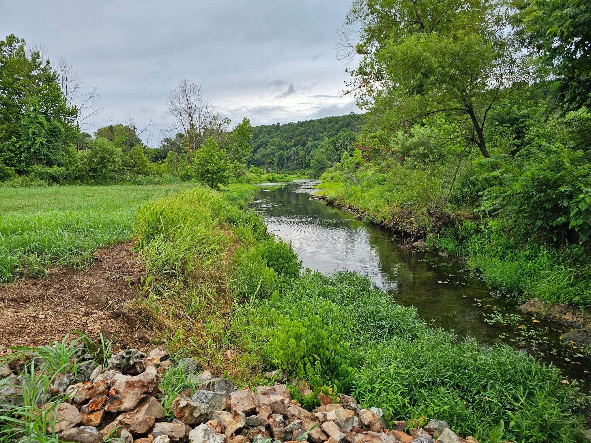 Camper-submitted photo at Highwater Camp near Rogers, AR