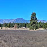 Review photo of Cinder Hills Off Highway Vehicle Area by Greg I., May 14, 2025