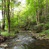 Review photo of Savage River State Forest by Joe G., July 25, 2019
