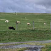 Review photo of Fort Chiswell RV Park by Michael H., May 15, 2025