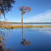 Review photo of Osceola National Forest Hog Pen Landing Campground by Jack B., July 25, 2019