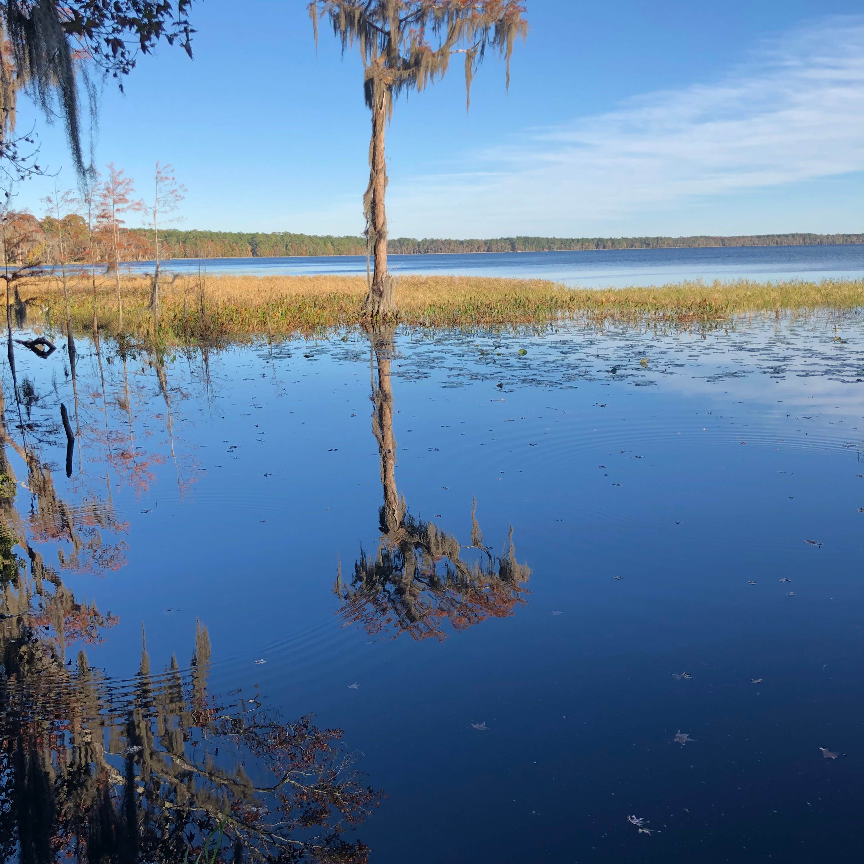 Escape To The Heart Of Florida: Your Guide To Osceola Campground