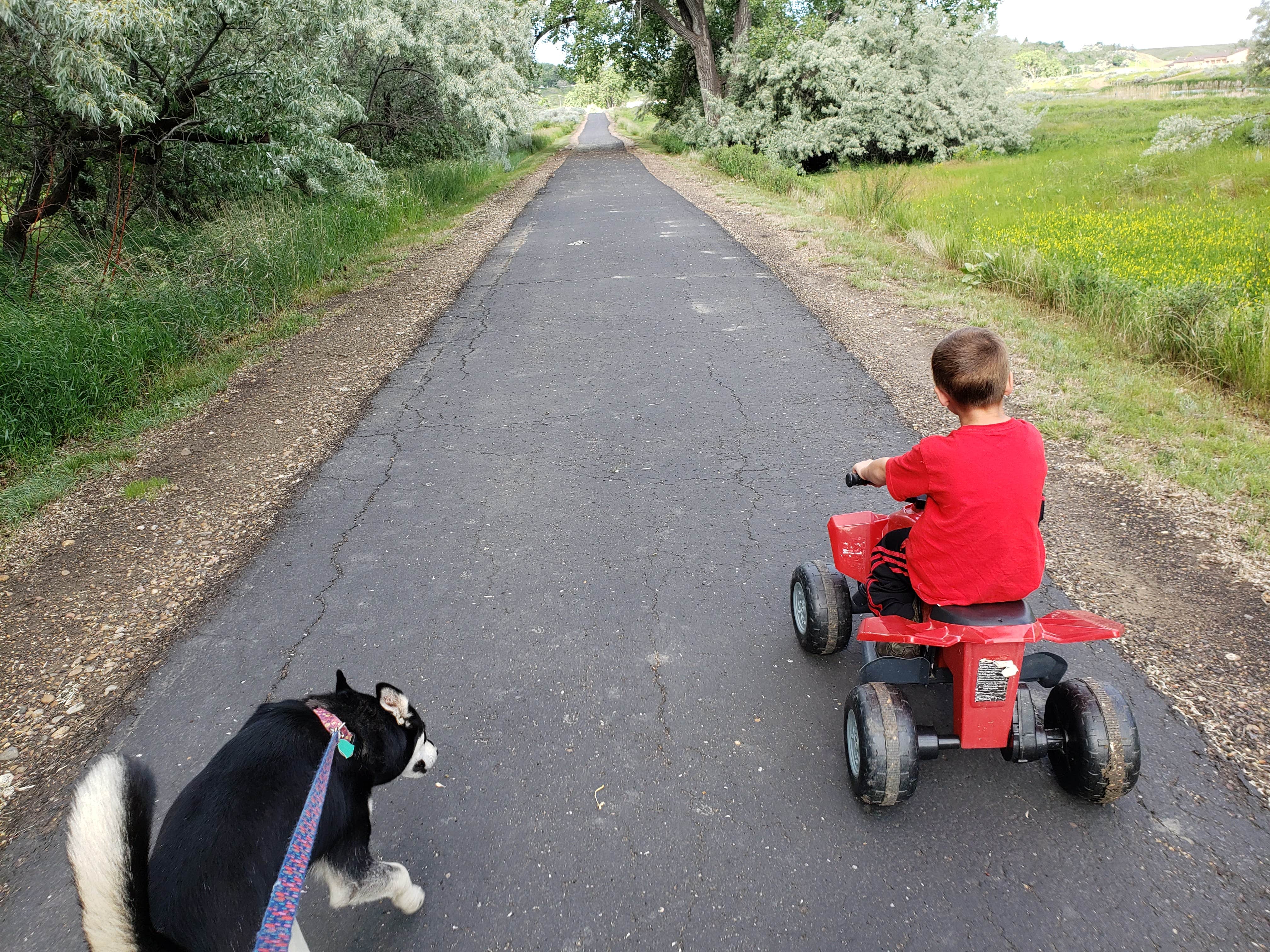 Jessica S.'s photo of camping with pets at Downstream (MT) near Nashua, MT