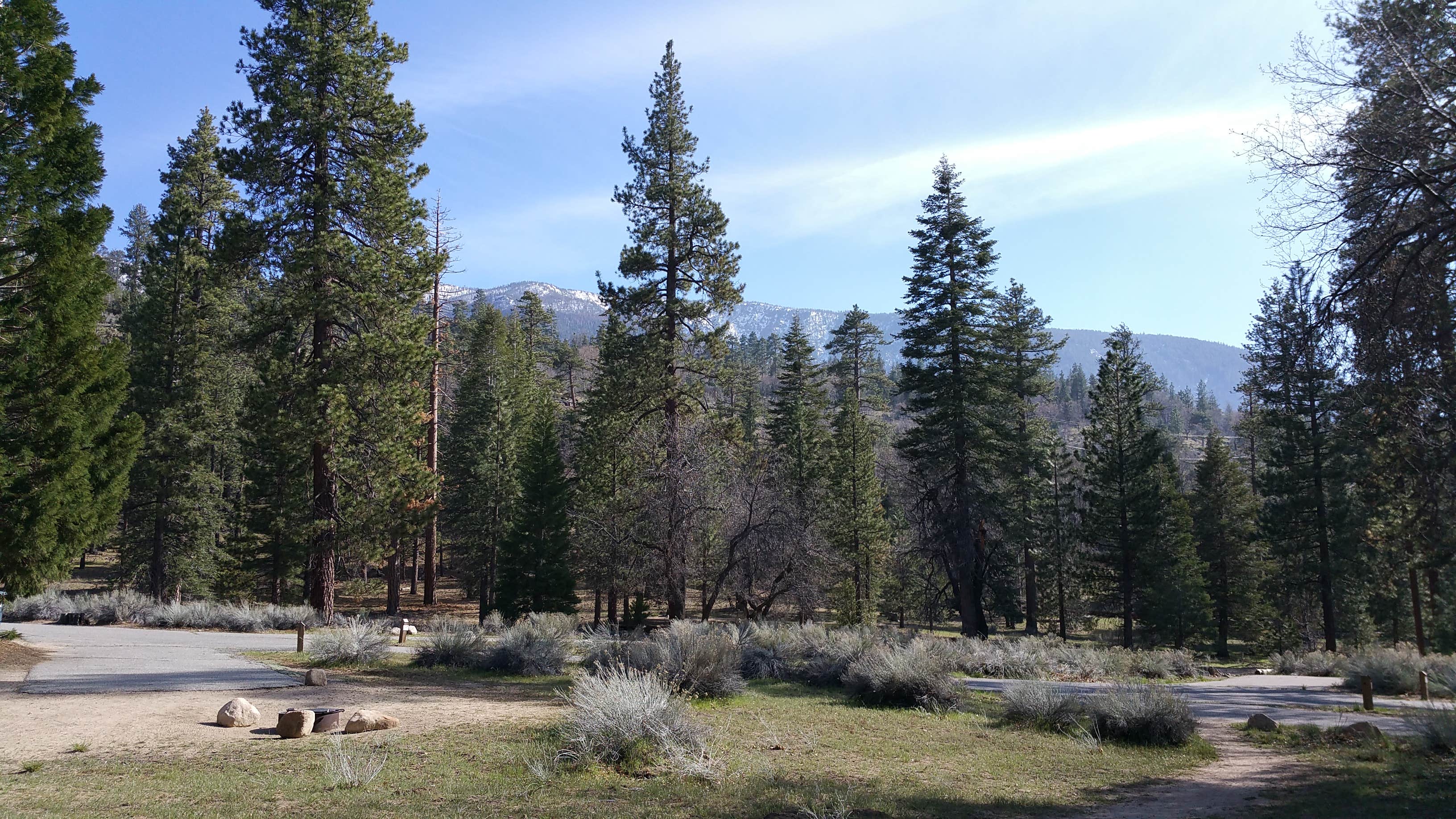 Camper submitted image from Barton Flats Family Campground - 2
