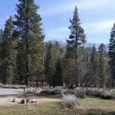 Review photo of Barton Flats Family Campground by Nate H., June 6, 2016