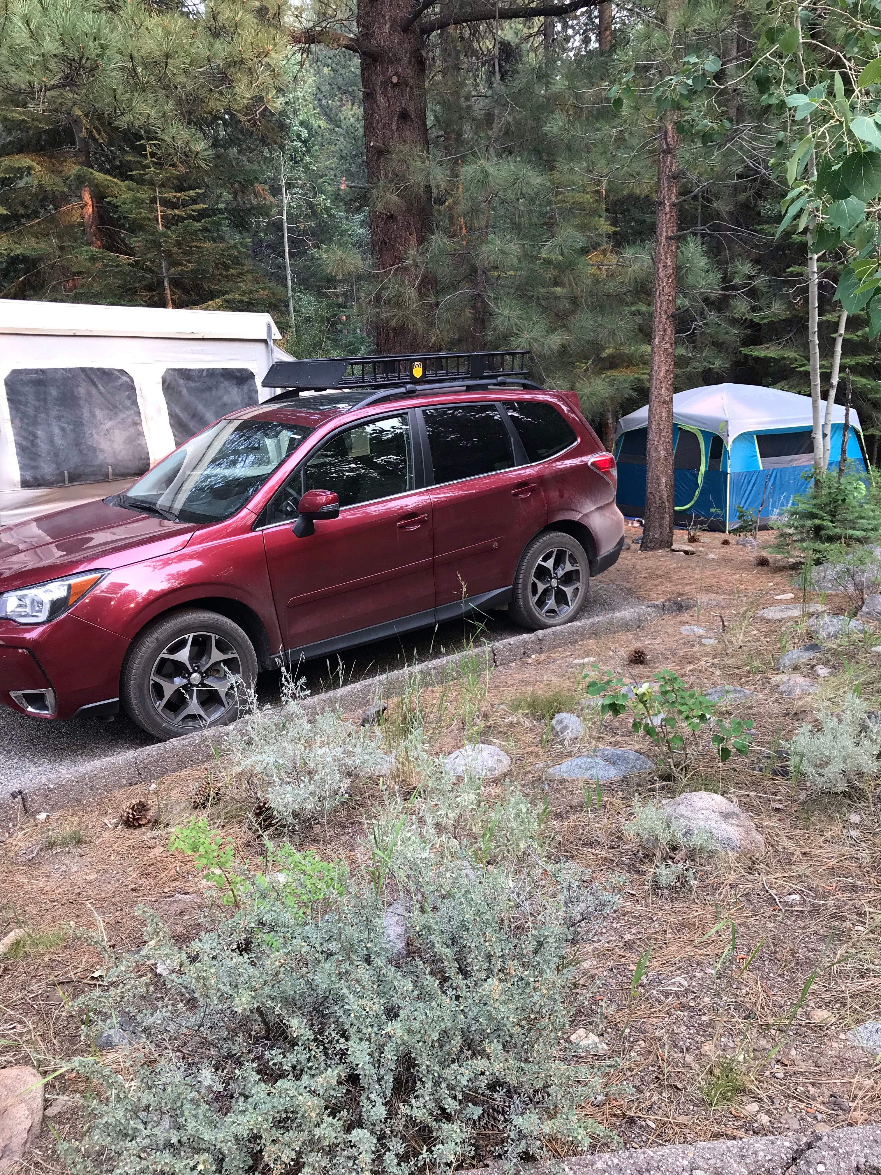 Camper submitted image from Buckeye Campground - 5