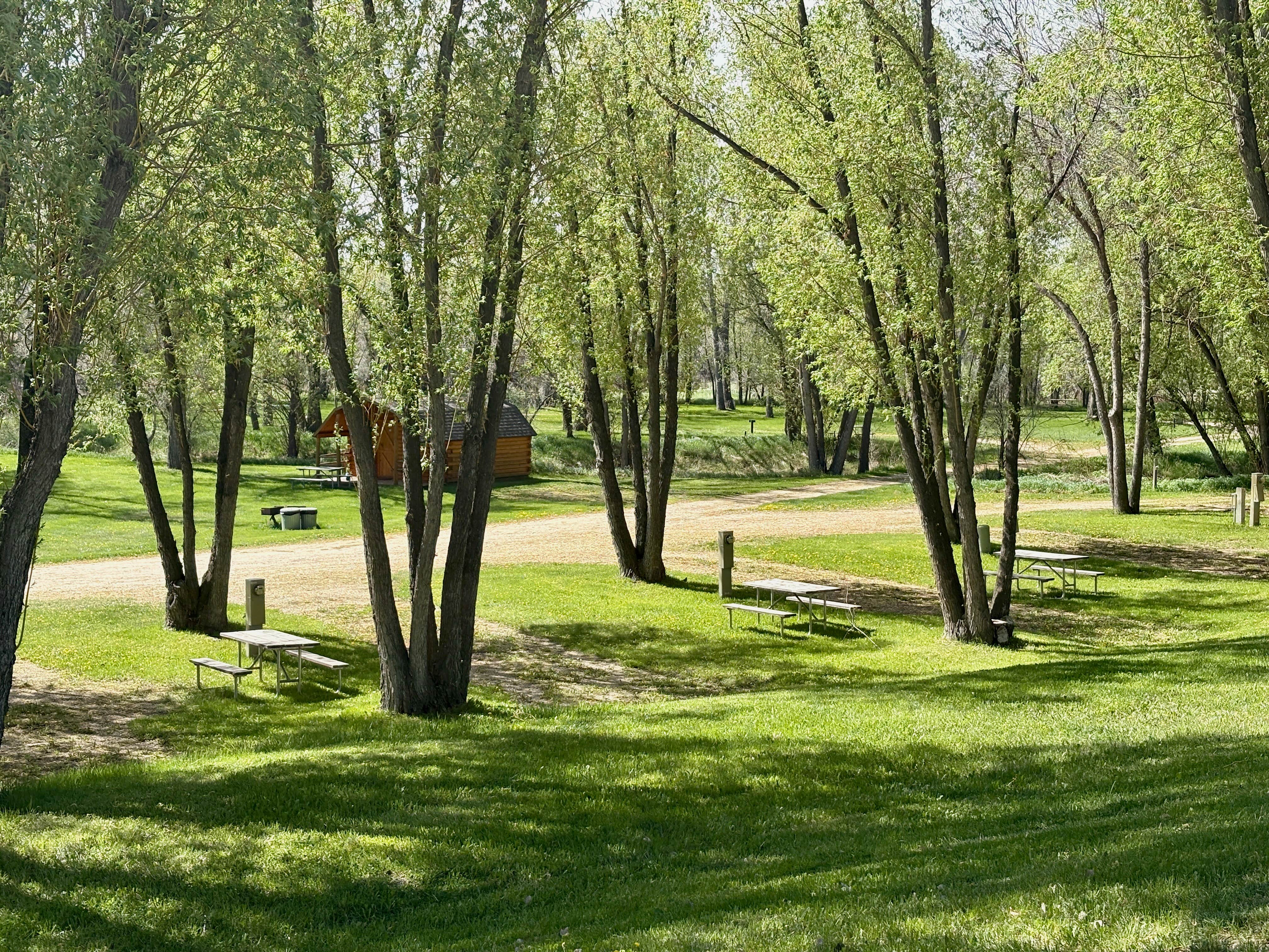 Camper-submitted photo at Deer Park RV Park and Campground near Buffalo, WY