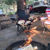 Review photo of Buckeye Campground by Troy L., July 25, 2019