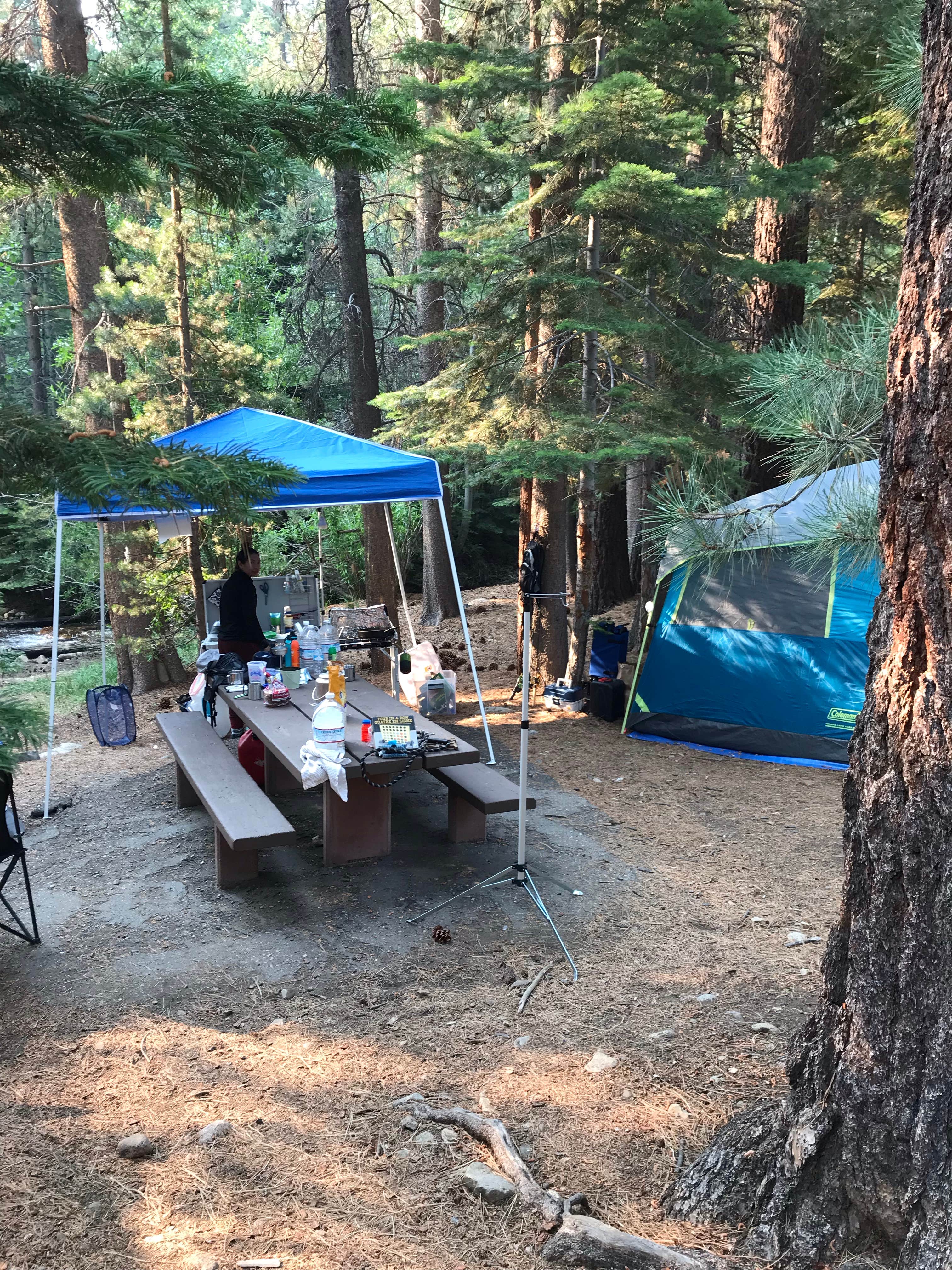 Troy L.'s photo at Buckeye Campground near Hawthorne, NV