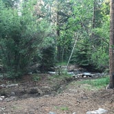 Review photo of Buckeye Campground by Troy L., July 25, 2019