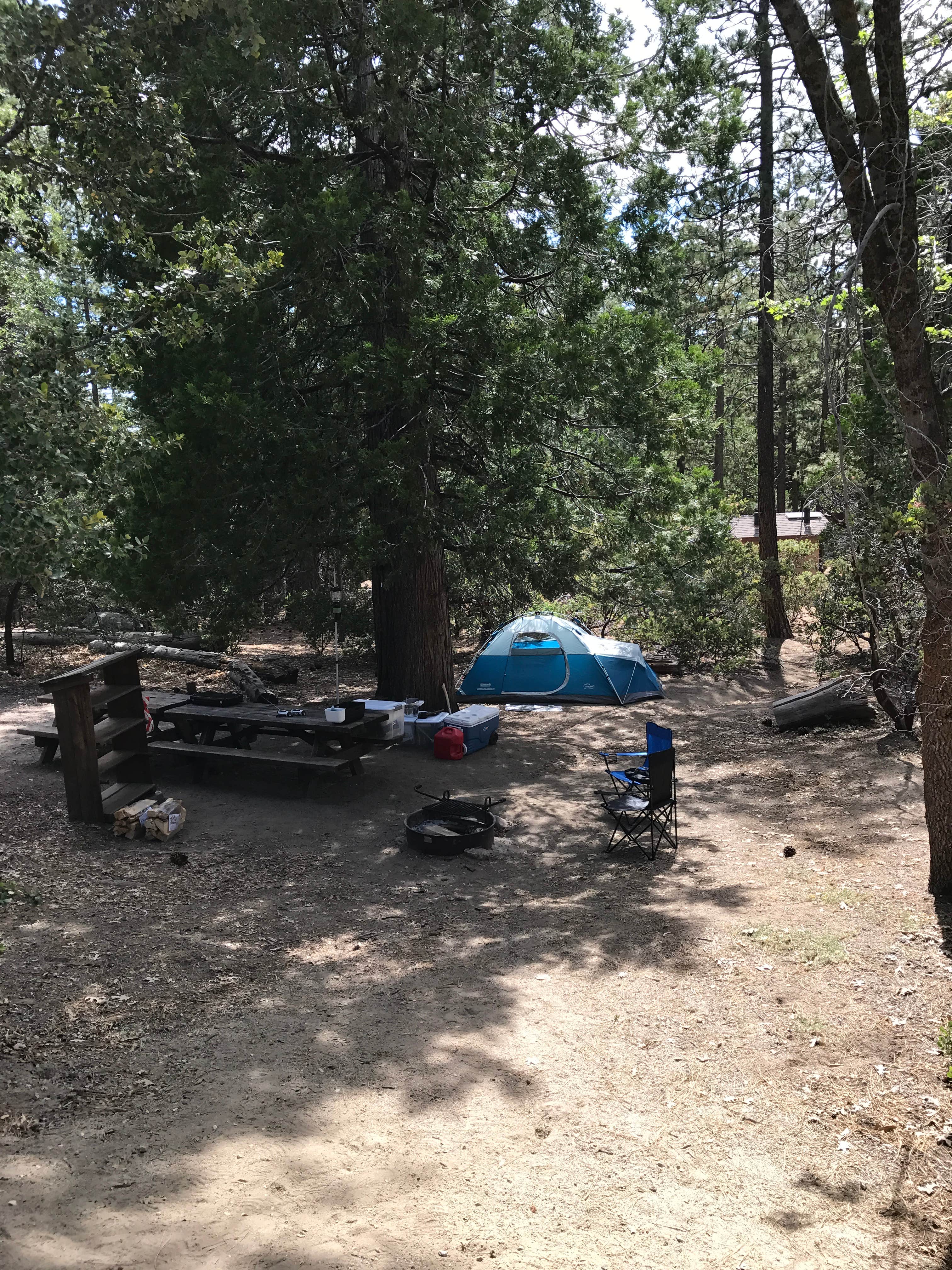 Troy L.'s photo at Stone Creek Campground — Mount San Jacinto State Park near Beaumont, CA