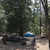 Review photo of Stone Creek Campground — Mount San Jacinto State Park by Troy L., July 25, 2019