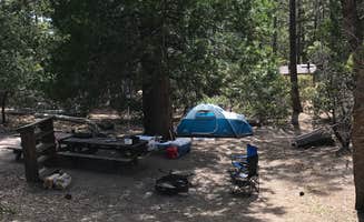Troy L.'s photo at Stone Creek Campground — Mount San Jacinto State Park near Beaumont, CA