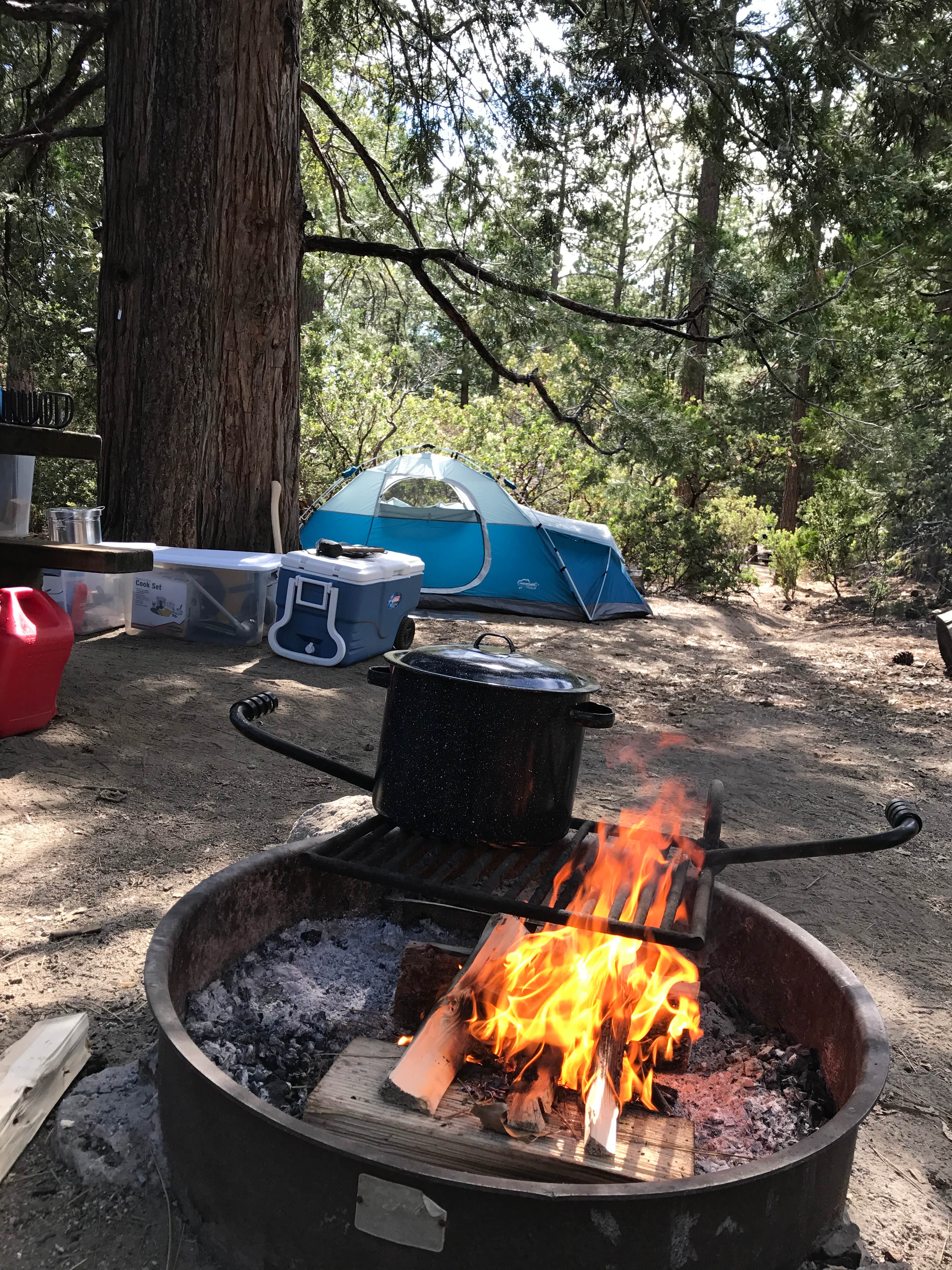 Troy L.'s photo at Stone Creek Campground — Mount San Jacinto State Park near Mountain Center, CA