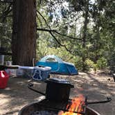 Review photo of Stone Creek Campground — Mount San Jacinto State Park by Troy L., July 25, 2019