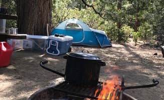 Troy L.'s photo at Stone Creek Campground — Mount San Jacinto State Park near Mountain Center, CA