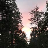 Review photo of Stone Creek Campground — Mount San Jacinto State Park by Troy L., July 25, 2019