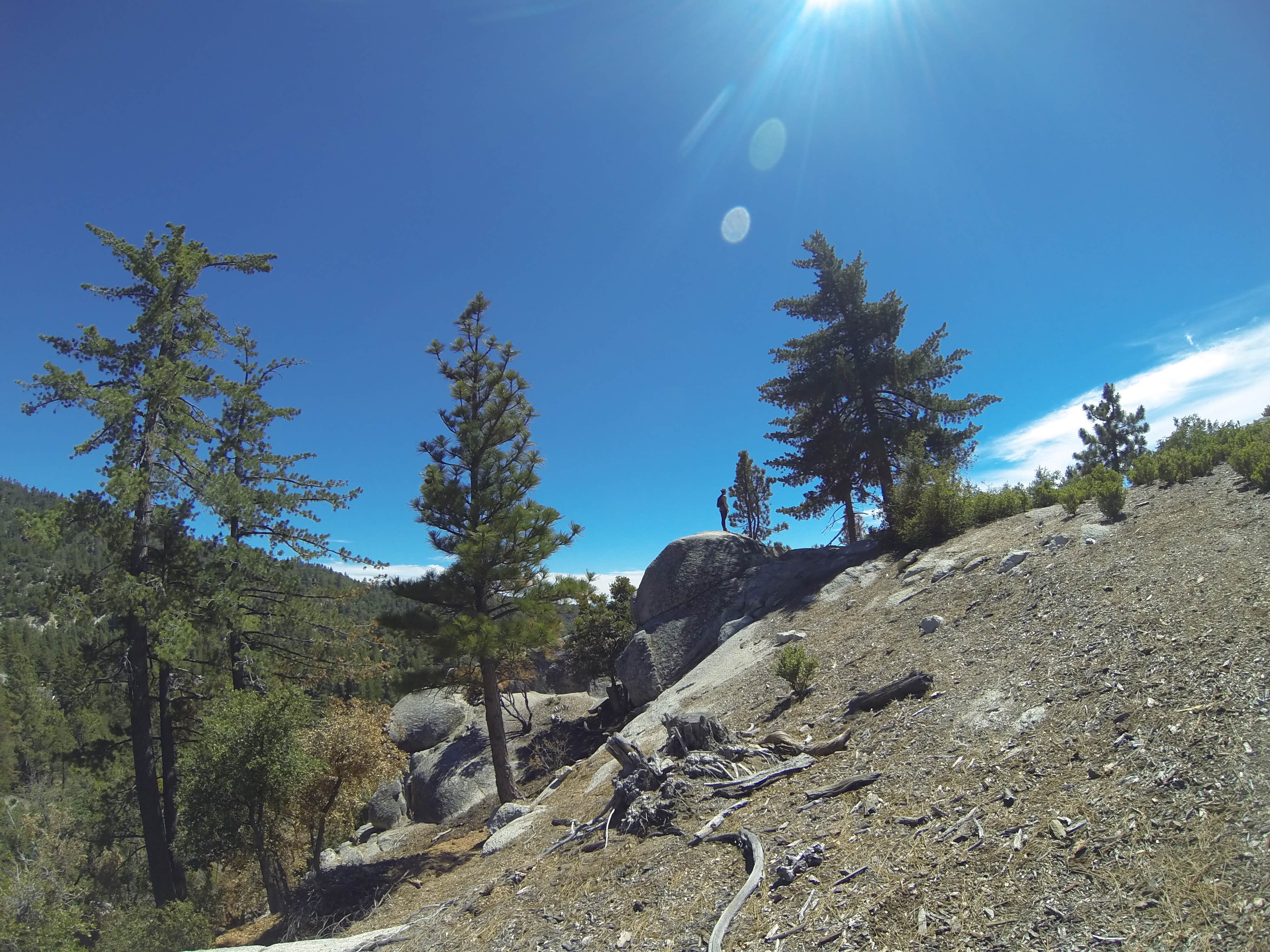 Camper-submitted photo at Stone Creek Campground — Mount San Jacinto State Park near San Jacinto, CA