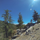 Review photo of Stone Creek Campground — Mount San Jacinto State Park by Troy L., July 25, 2019