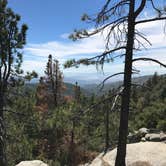 Review photo of Stone Creek Campground — Mount San Jacinto State Park by Troy L., July 25, 2019