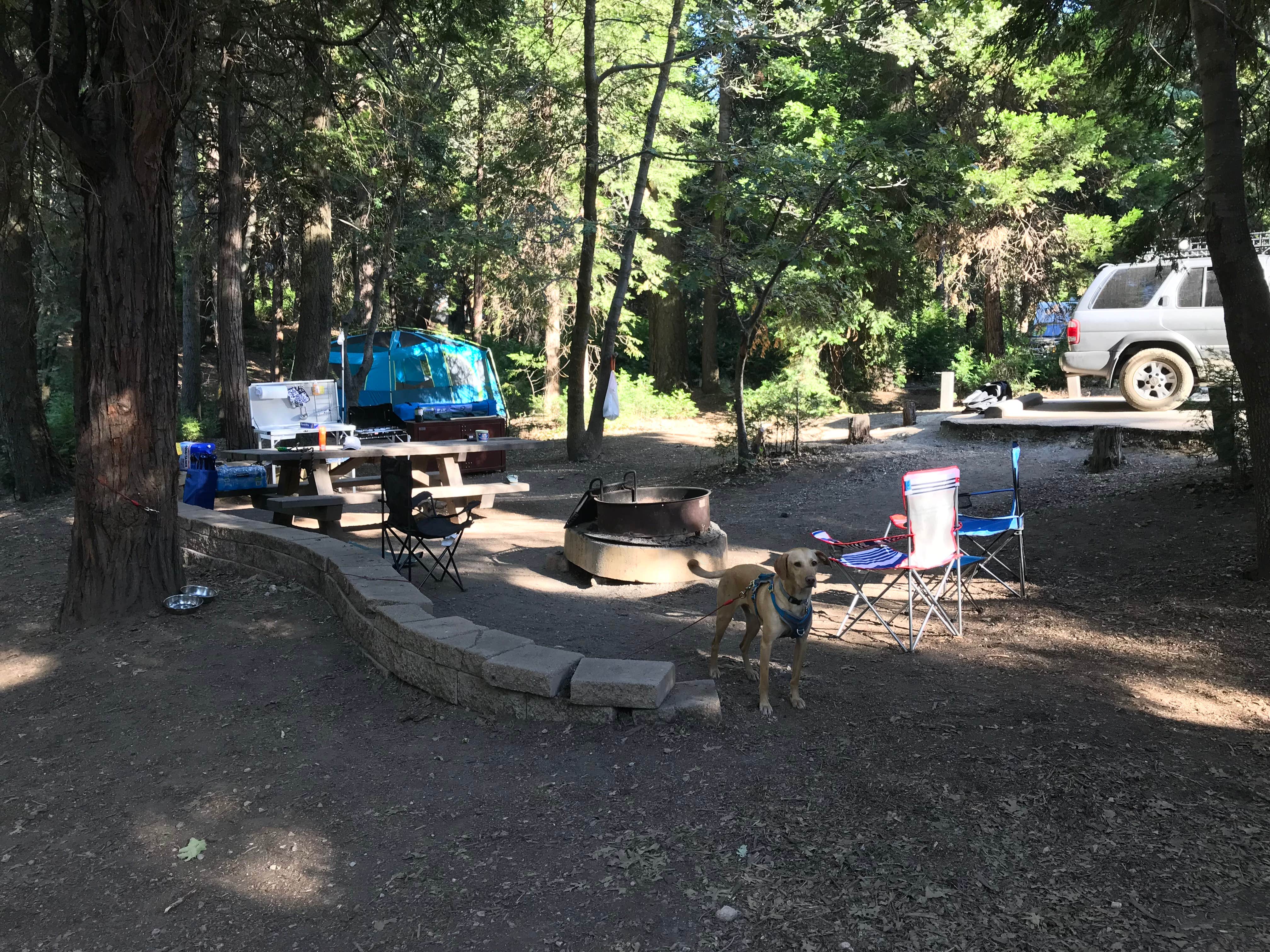 Troy L.'s photo at Dogwood near Redlands, CA