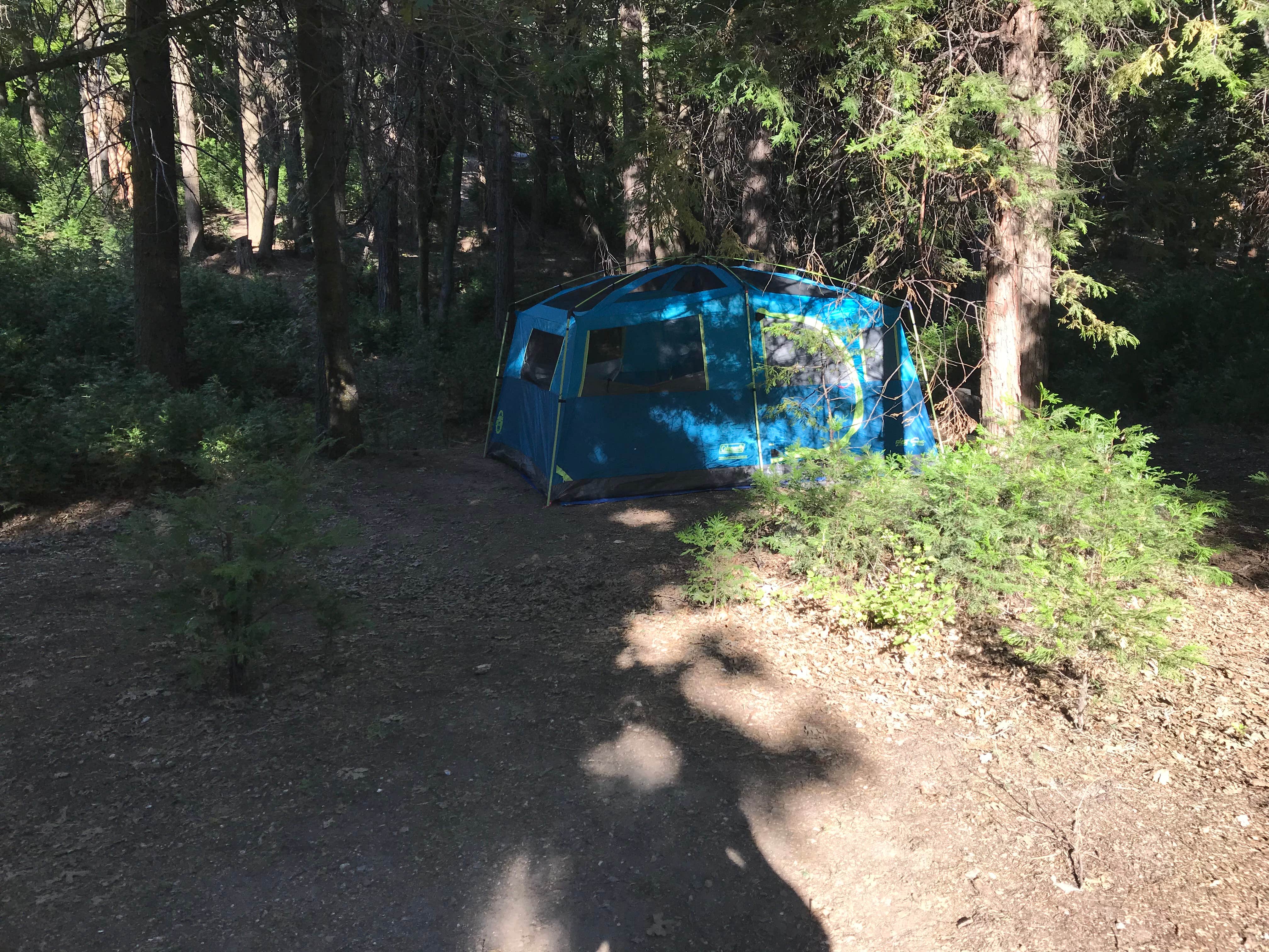 Troy L.'s photo at Dogwood near Rialto, CA