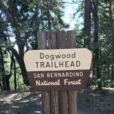 Review photo of Dogwood by Troy L., July 25, 2019