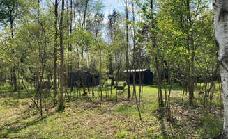 Kim K.'s photo of a cabin at J's Barn Unplugged near Davisburg, MI