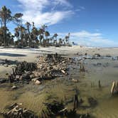 Review photo of Hunting Island State Park Campground by Roman C., July 25, 2019