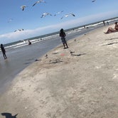 Review photo of Hunting Island State Park Campground by Roman C., July 25, 2019