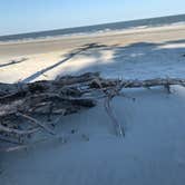 Review photo of Hunting Island State Park Campground by Roman C., July 25, 2019
