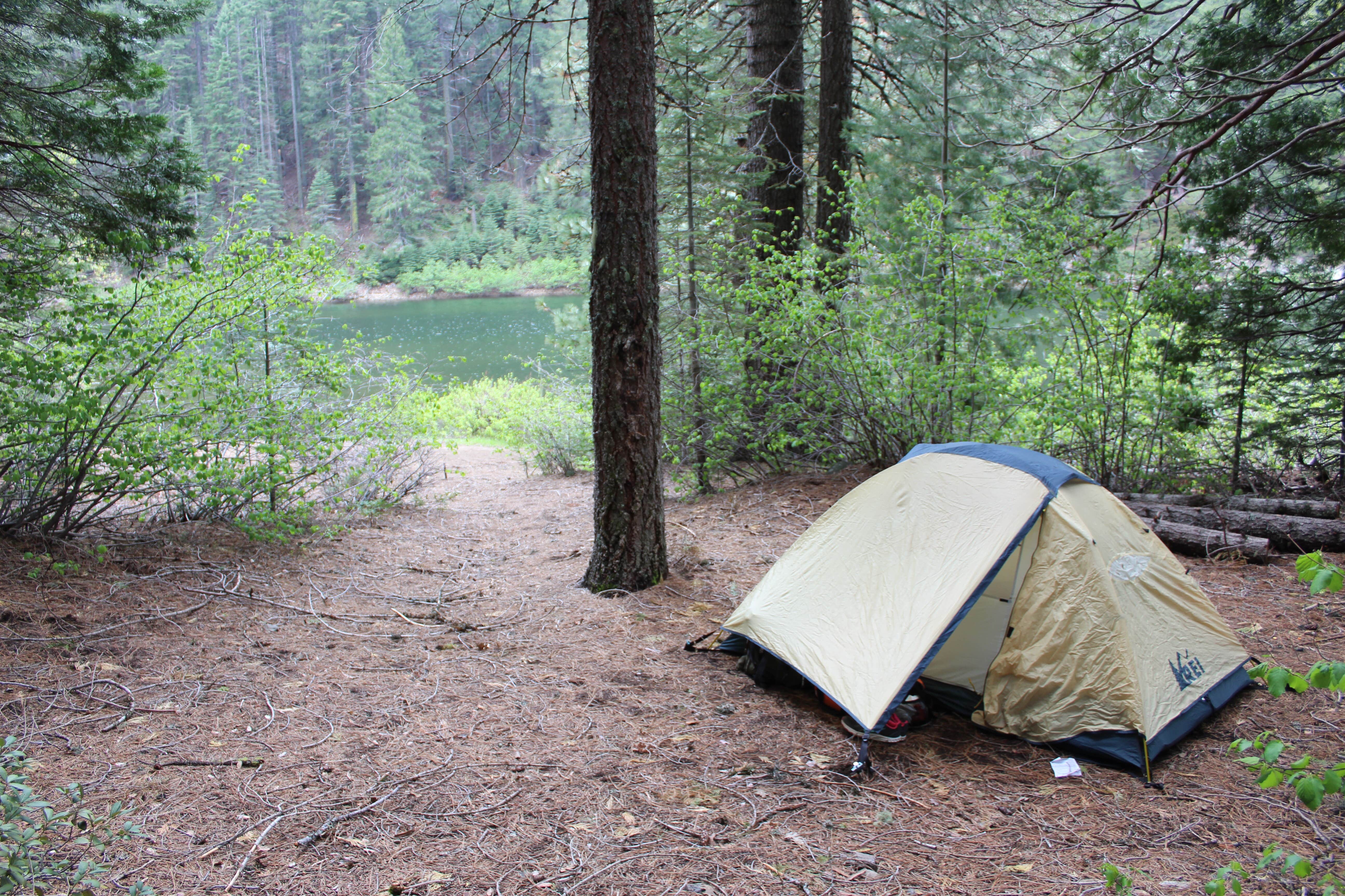 Katie M.'s photo at Grizzly Forebay Campground near Crescent Mills, CA