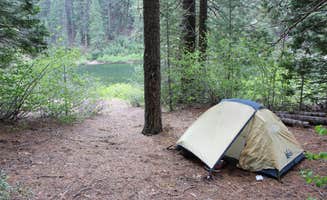 Katie M.'s photo of tent camping at Grizzly Forebay Campground near Clio, CA
