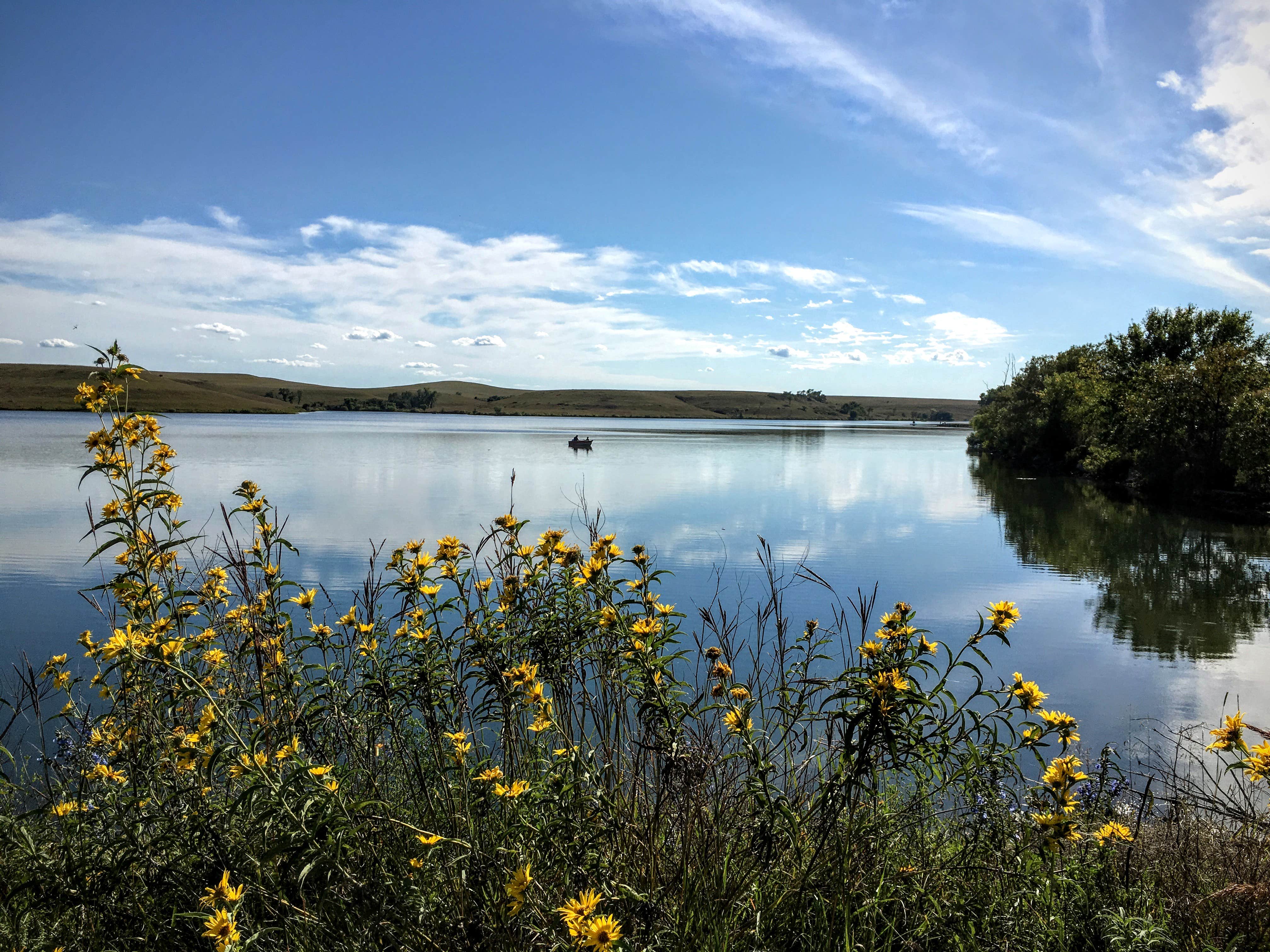 Camper submitted image from Chase State Fishing Lake - 3