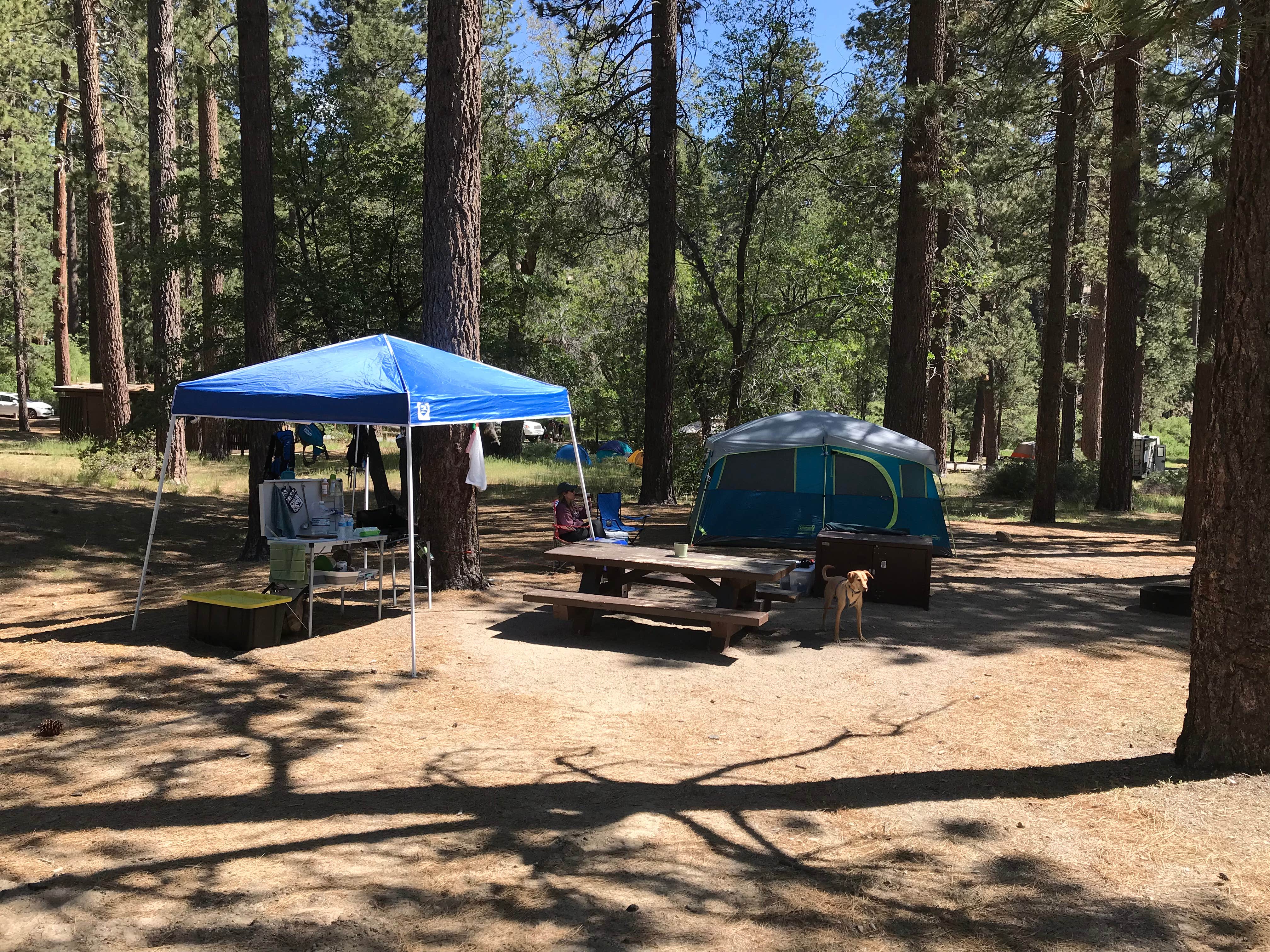 Camper submitted image from Hanna Flat Campground - 4