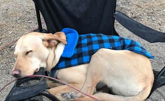 Troy L.'s photo of camping with pets at Hanna Flat Campground near Blue Jay, CA