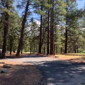 Review photo of Merrill Campground by Will M., May 18, 2025