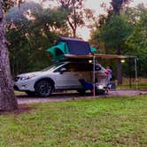 Review photo of Stephen Austin State Park by Brendon B., July 25, 2019