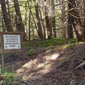 Review photo of Ranger Creek Airstrip Dispersed by Laura M., May 18, 2025