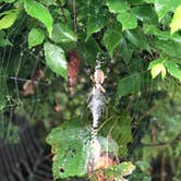 Review photo of Stephen Austin State Park by Brendon B., July 25, 2019