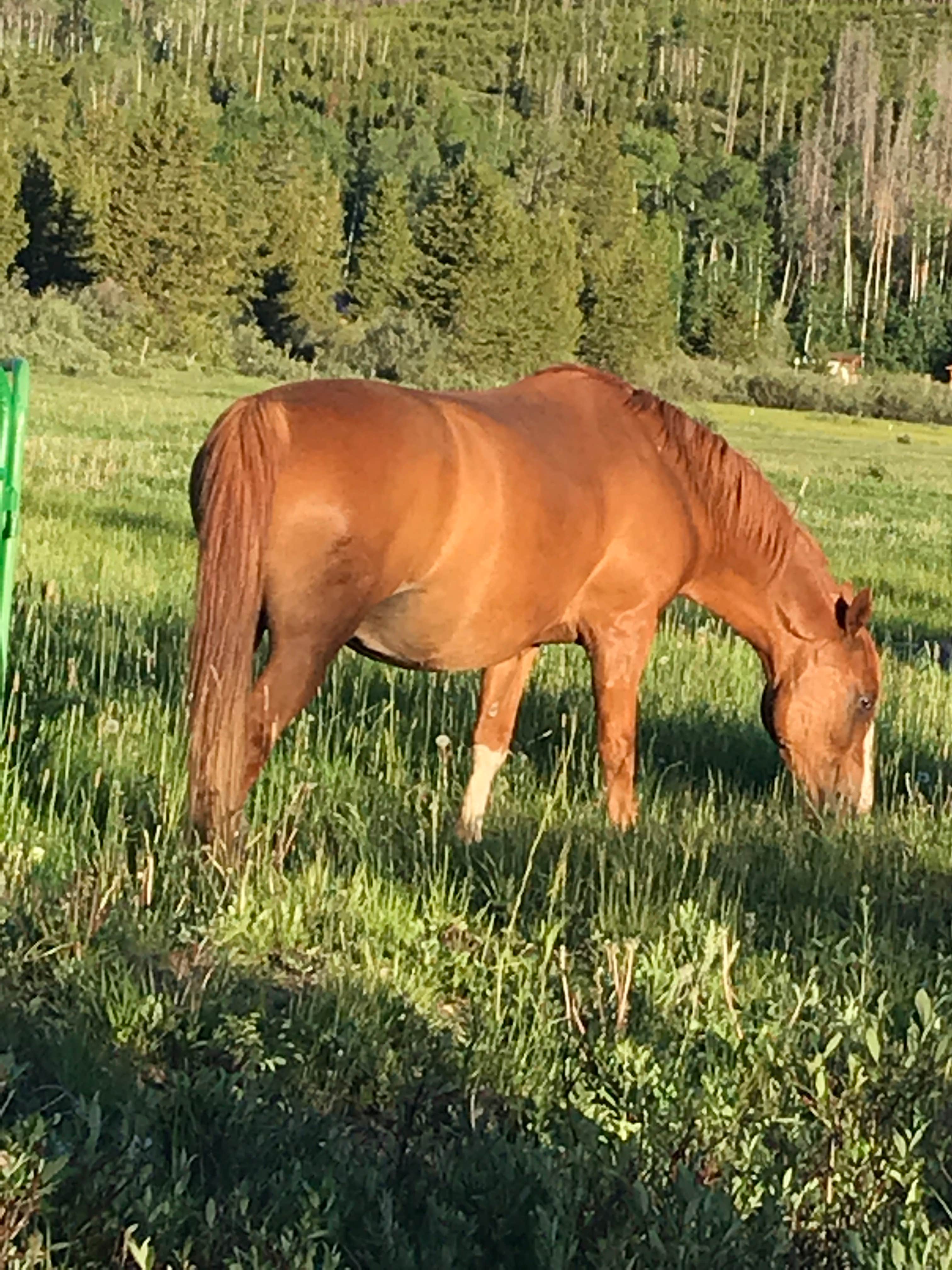 Camper-submitted photo at Winding River Resort near Gould, CO