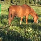 Review photo of Winding River Resort by Mary D., July 25, 2019