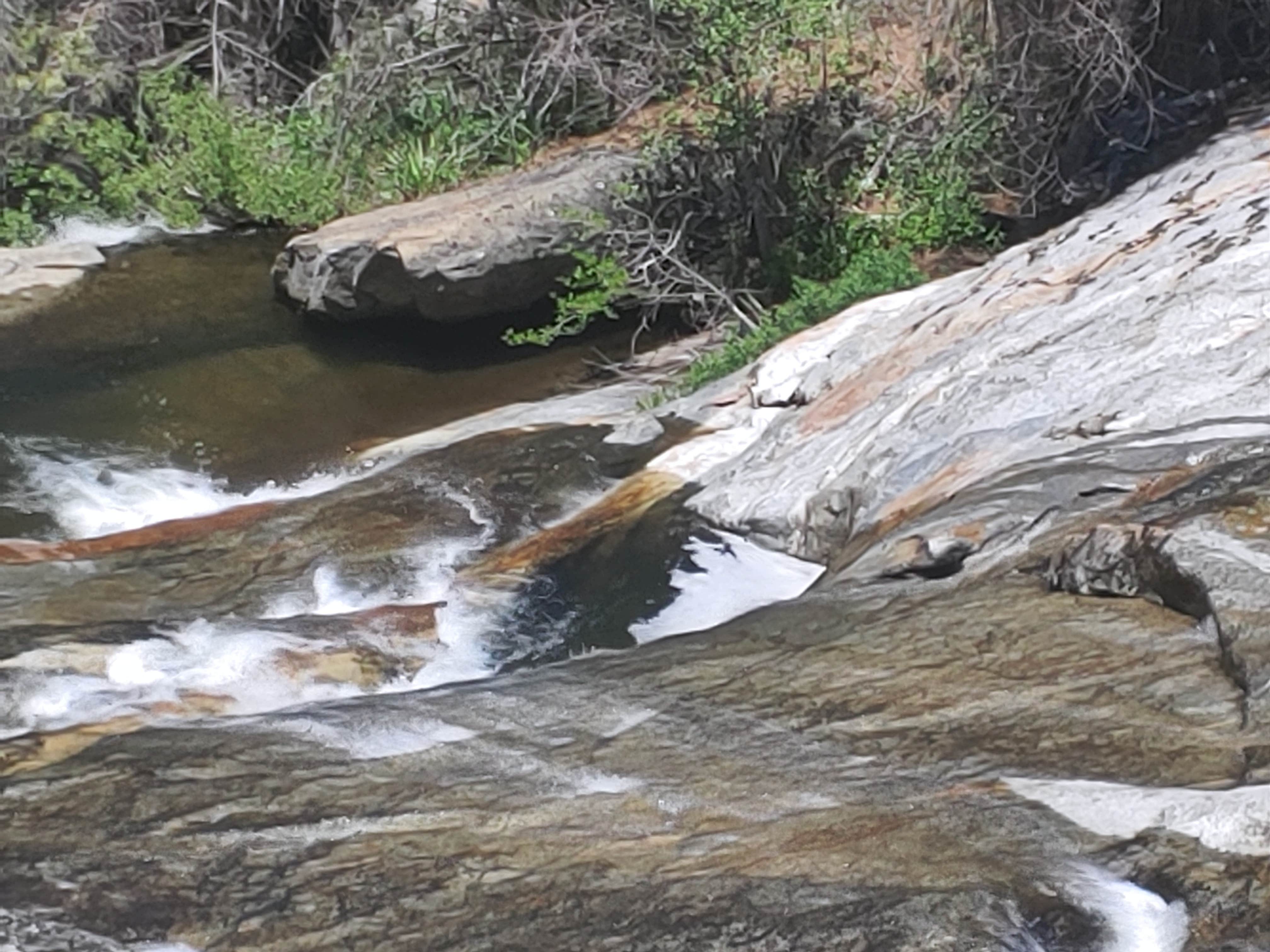 Camper-submitted photo at Musick Creek Falls near Auberry, CA