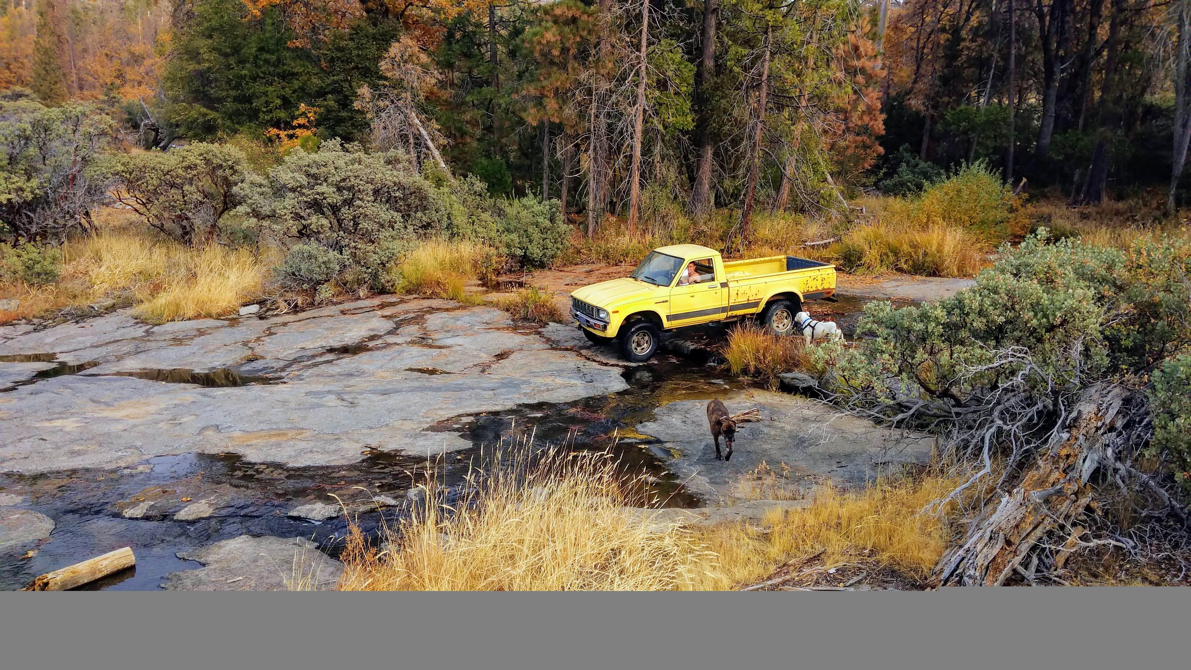 jesse H.'s photo of camping with pets at Musick Creek Falls near Fresno, CA
