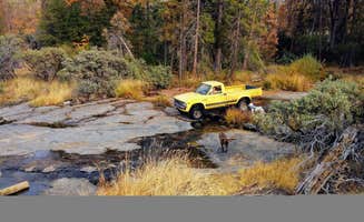 jesse H.'s photo of camping with pets at Musick Creek Falls near Shaver Lake, CA