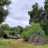 Review photo of Ronald W. Caspers Wilderness Park by Kim L., May 19, 2025